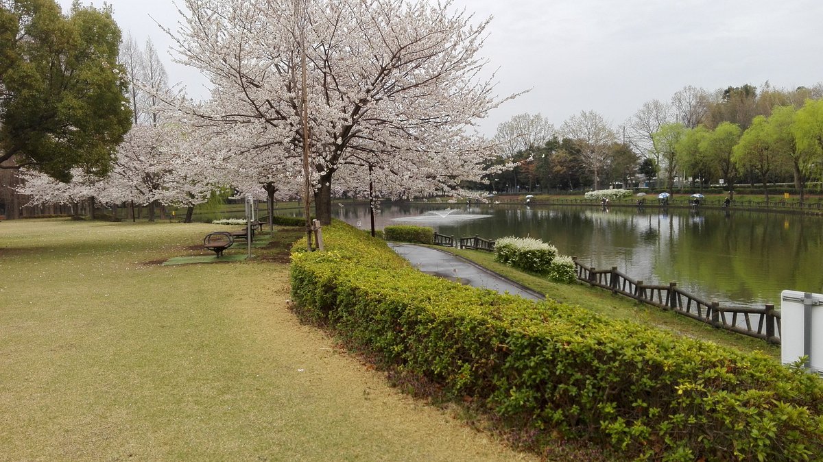 🌳 기타모토 종합공원 (기타모토소고코엔) 이미지 4
